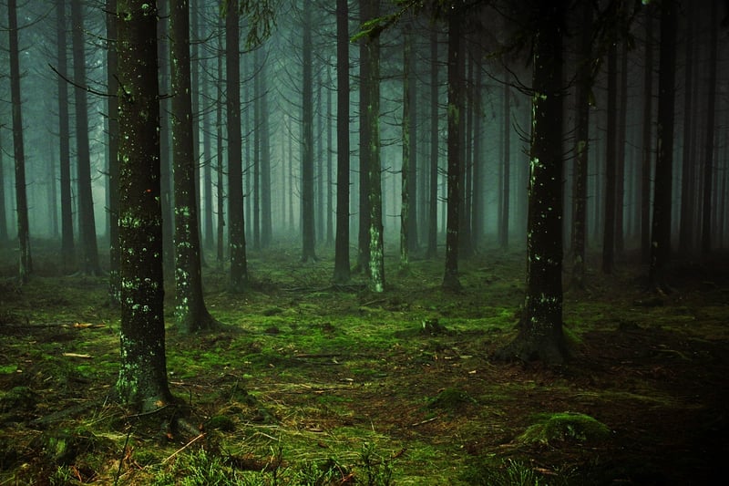 Lothlórien